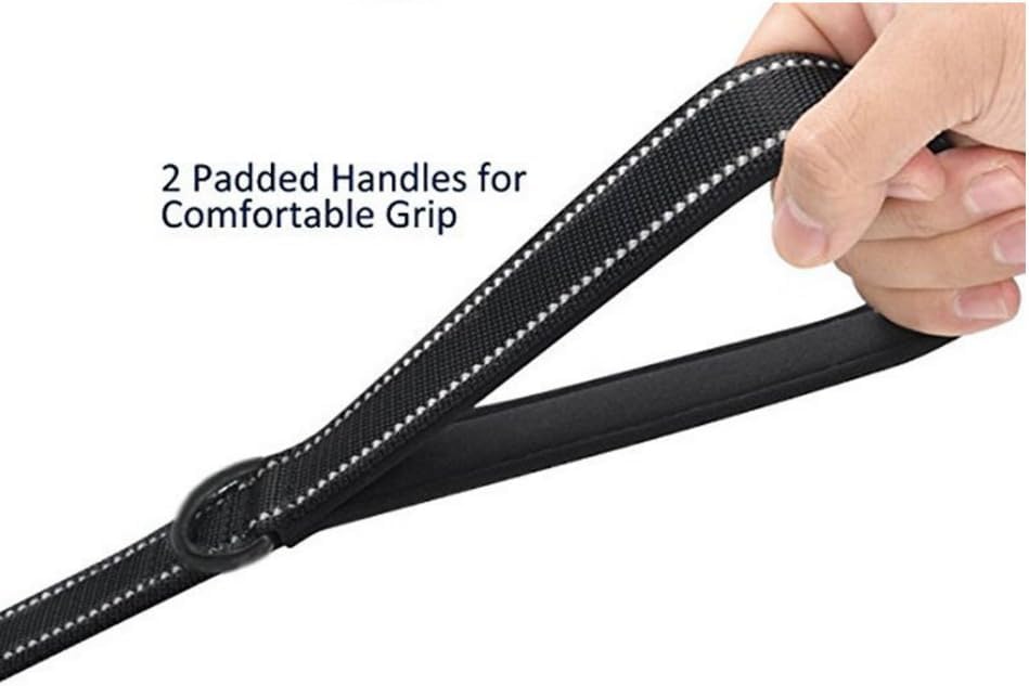 JEWOSTER 6ft Heavy Duty Dog Leash with Padded Traffic Handle