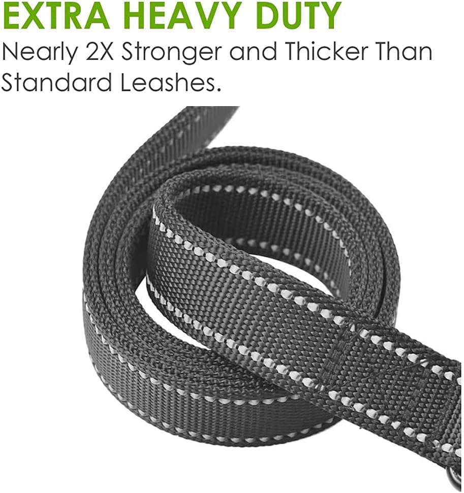 JEWOSTER 6ft Heavy Duty Dog Leash with Padded Traffic Handle