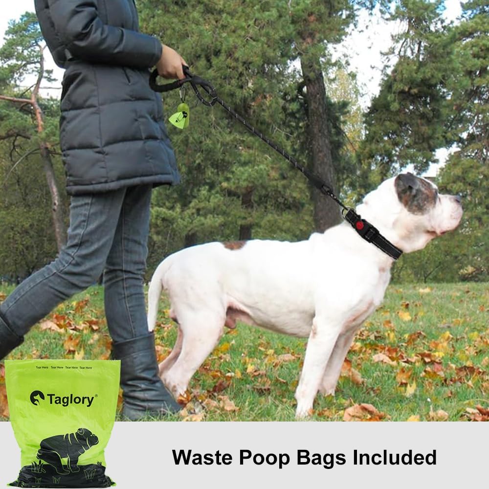 Taglory Rope Dog Leash, Reflective Climbing Rope with Padded Handle