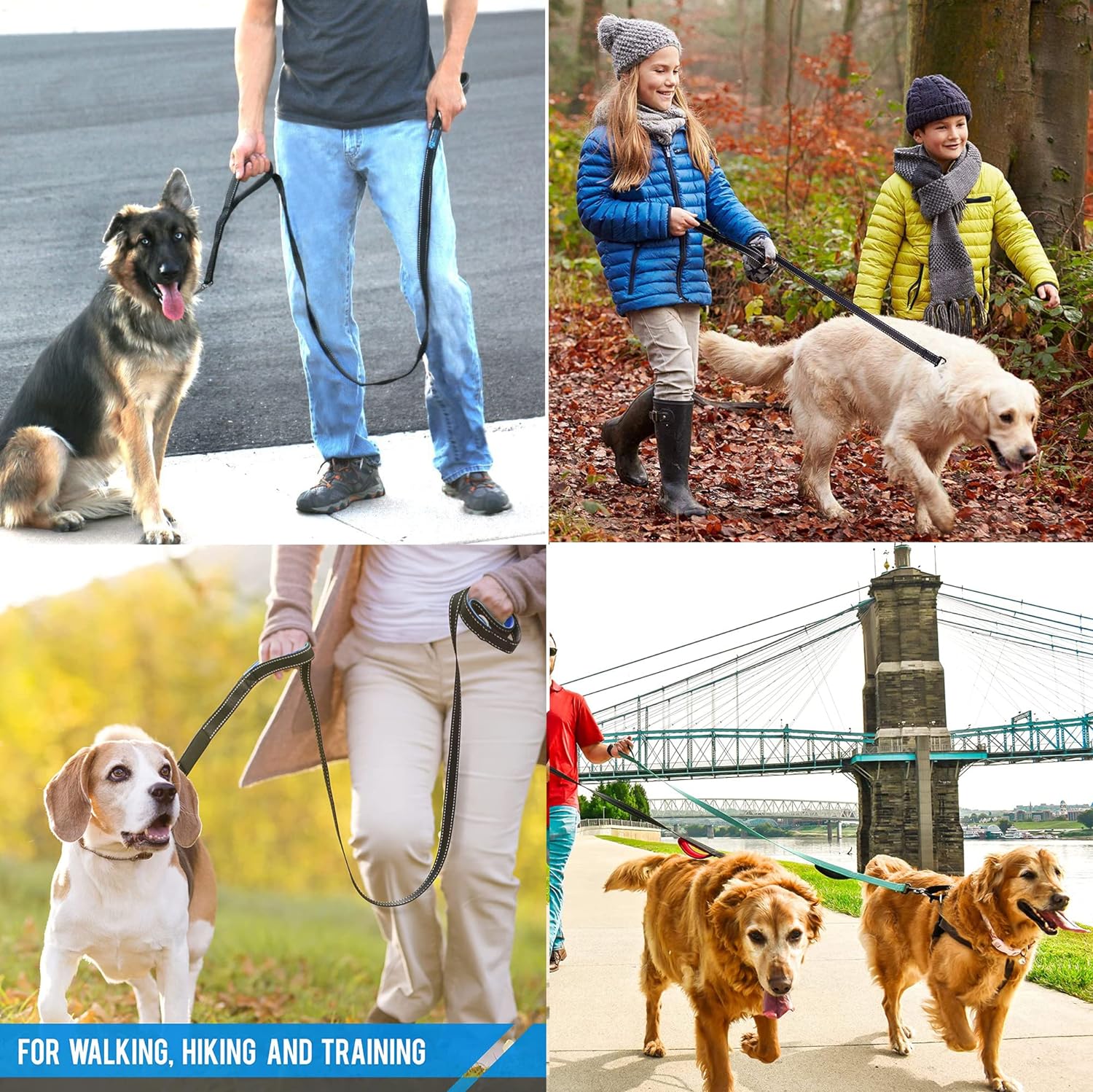 JEWOSTER 6ft Heavy Duty Dog Leash with Padded Traffic Handle